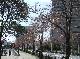 DSCF1877.JPG