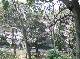 DSCF1891.JPG