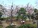 DSCF1894.JPG