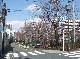 DSCF1908.JPG