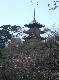 DSCF1962.JPG
