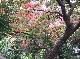 DSCF1125.jpg