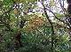 DSCF1126.jpg