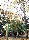 DSCF1128.jpg