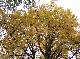 DSCF1130.jpg