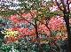 DSCF1134.jpg