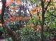DSCF1137.jpg