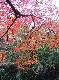 DSCF1138.jpg