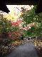 DSCF1141.jpg