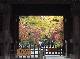 DSCF1143.jpg