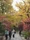 DSCF1145.jpg