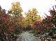 DSCF1146.jpg