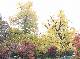 DSCF1147.jpg