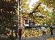 DSCF1148.jpg