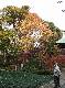 DSCF1149.jpg