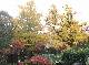 DSCF1151.jpg
