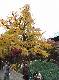 DSCF1152.jpg