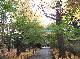 DSCF1153.jpg