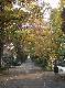 DSCF1154.jpg