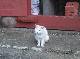 DSCF1525.jpg