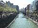 DSCF1532.jpg
