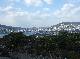 DSCF1546.jpg