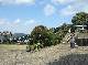 DSCF1551.jpg