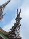 DSCF1578.jpg