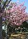 DSCF1603.jpg