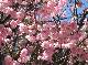 DSCF1604.jpg