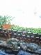 DSCF2013.jpg