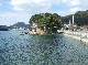 DSCF2044.jpg