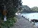 DSCF2047.jpg